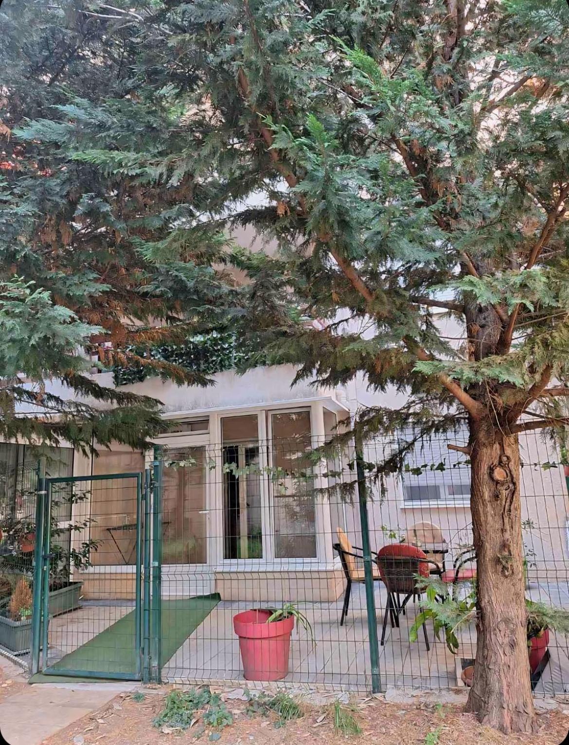 Apartments Vanja Budva Eksteriør bilde